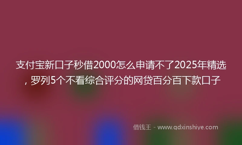 支付宝新口子秒借2000怎么申请不了2025年精选，罗列5个不看综合评分的网贷百分百下款口子