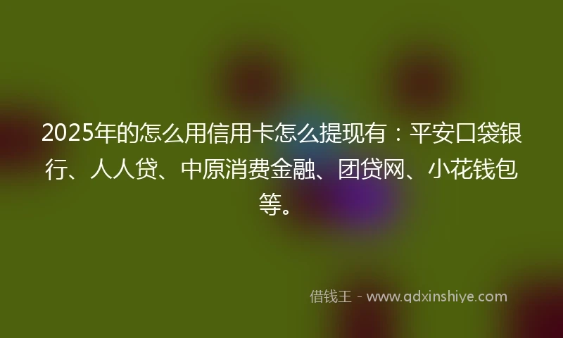 2025年的怎么用信用卡怎么提现有：平安口袋银行、人人贷、中原消费金融、团贷网、小花钱包等。