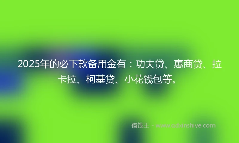 2025年的必下款备用金有：功夫贷、惠商贷、拉卡拉、柯基贷、小花钱包等。
