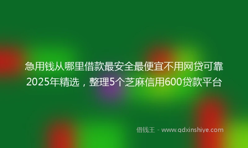 急用钱从哪里借款最安全最便宜不用网贷可靠2025年精选，整理5个芝麻信用600贷款平台