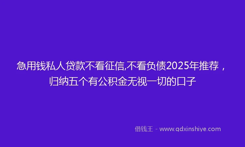 急用钱私人贷款不看征信,不看负债2025年推荐，归纳五个有公积金无视一切的口子