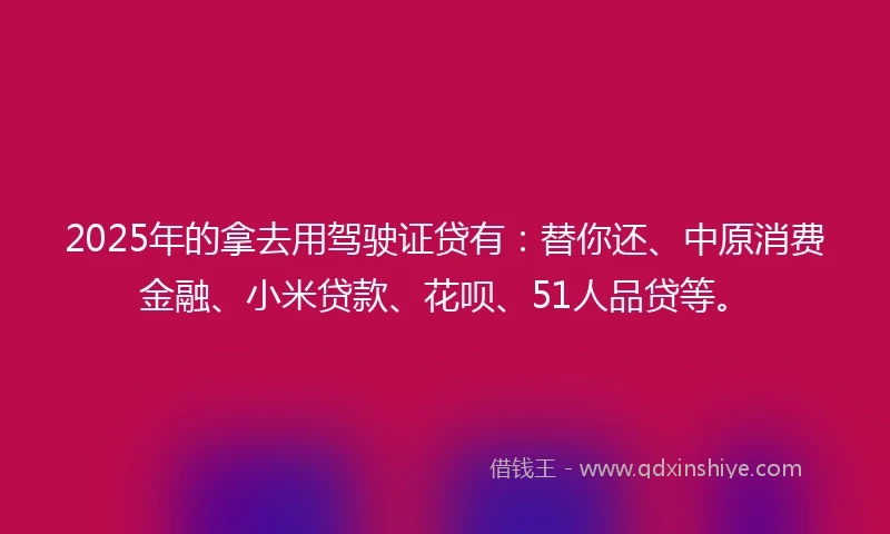 2025年的拿去用驾驶证贷有：替你还、中原消费金融、小米贷款、花呗、51人品贷等。