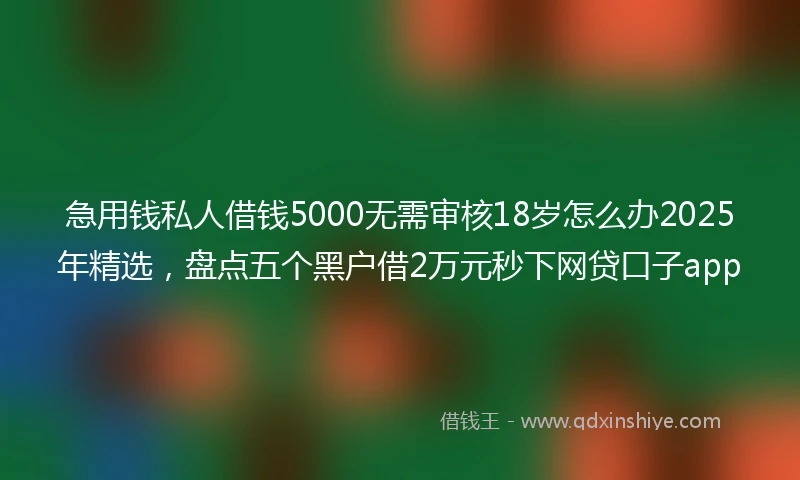 急用钱私人借钱5000无需审核18岁怎么办2025年精选，盘点五个黑户借2万元秒下网贷口子app