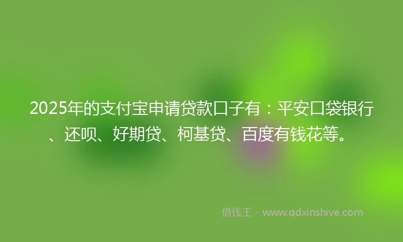 2025年的支付宝申请贷款口子有：平安口袋银行、还呗、好期贷、柯基贷、百度有钱花等。