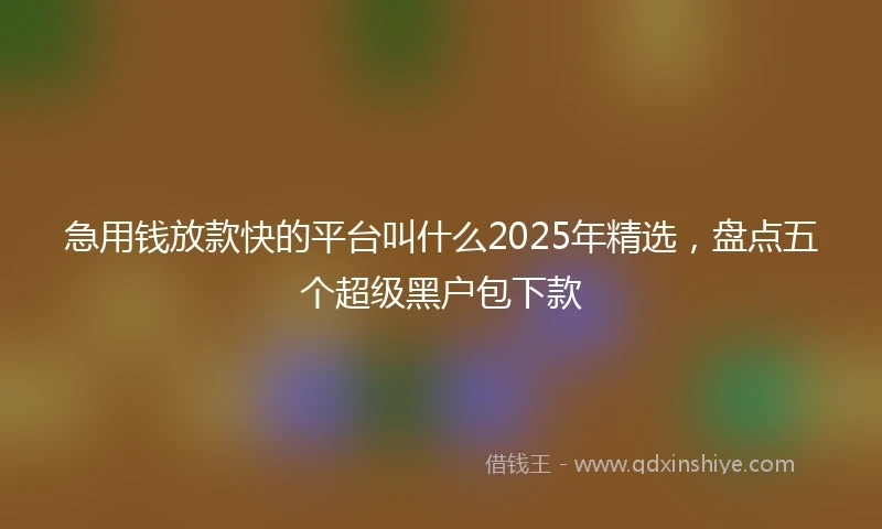 急用钱放款快的平台叫什么2025年精选，盘点五个超级黑户包下款