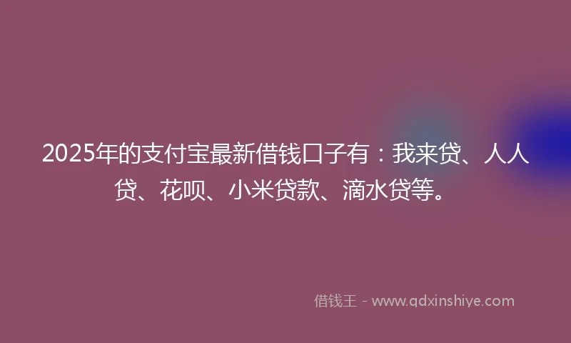 2025年的支付宝最新借钱口子有：我来贷、人人贷、花呗、小米贷款、滴水贷等。