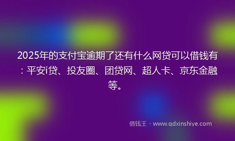 2025年的支付宝逾期了还有什么网贷可以借钱有：平安i贷、投友圈、团贷网、超人卡、京东金融等。