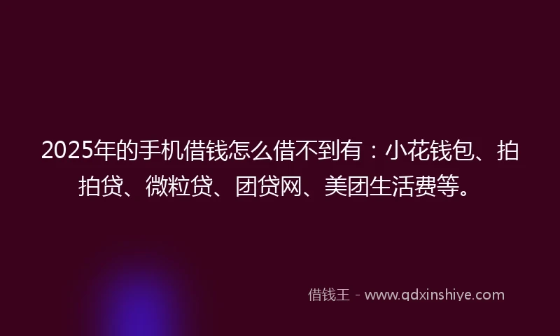 2025年的手机借钱怎么借不到有：小花钱包、拍拍贷、微粒贷、团贷网、美团生活费等。