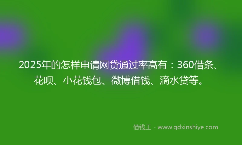 2025年的怎样申请网贷通过率高有：360借条、花呗、小花钱包、微博借钱、滴水贷等。