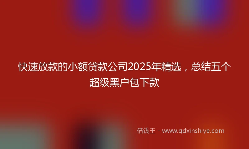 快速放款的小额贷款公司2025年精选，总结五个超级黑户包下款