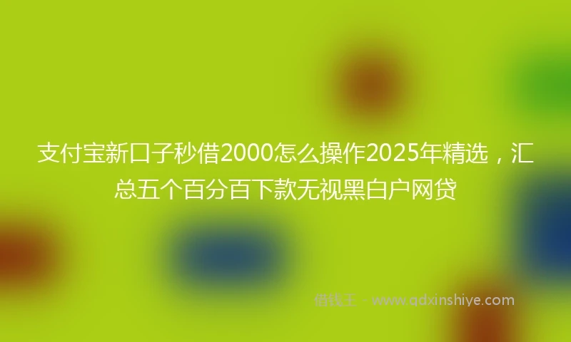 支付宝新口子秒借2000怎么操作2025年精选，汇总五个百分百下款无视黑白户网贷