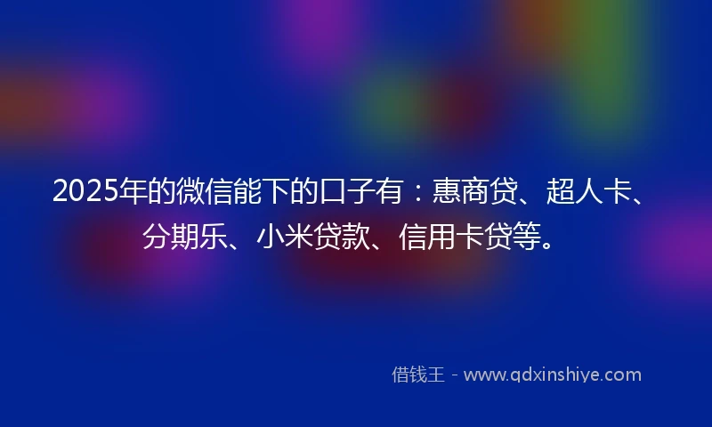 2025年的微信能下的口子有：惠商贷、超人卡、分期乐、小米贷款、信用卡贷等。