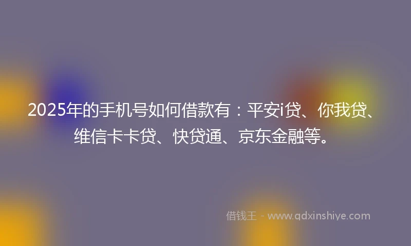 2025年的手机号如何借款有：平安i贷、你我贷、维信卡卡贷、快贷通、京东金融等。