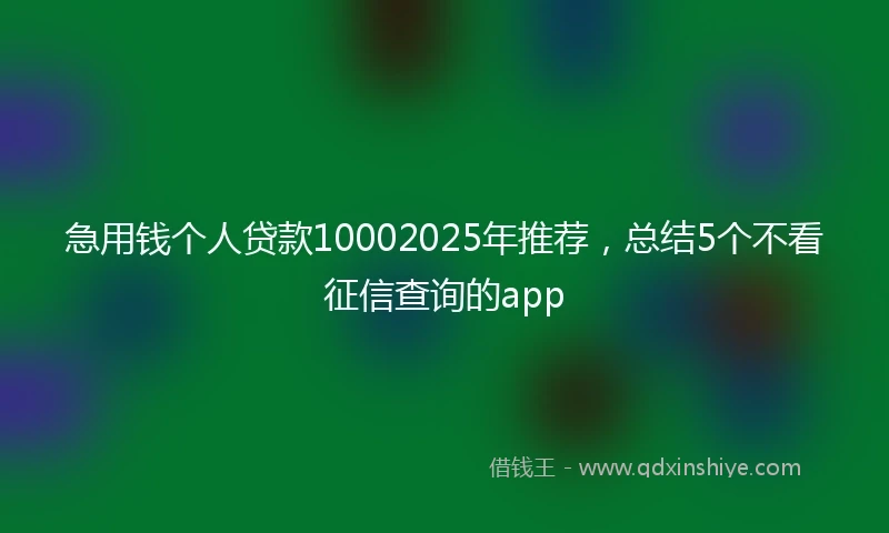 急用钱个人贷款10002025年推荐，总结5个不看征信查询的app