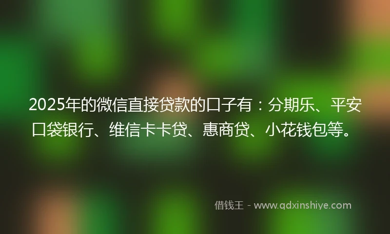 2025年的微信直接贷款的口子有：分期乐、平安口袋银行、维信卡卡贷、惠商贷、小花钱包等。