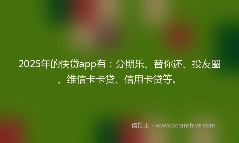 2025年的快贷app有：分期乐、替你还、投友圈、维信卡卡贷、信用卡贷等。