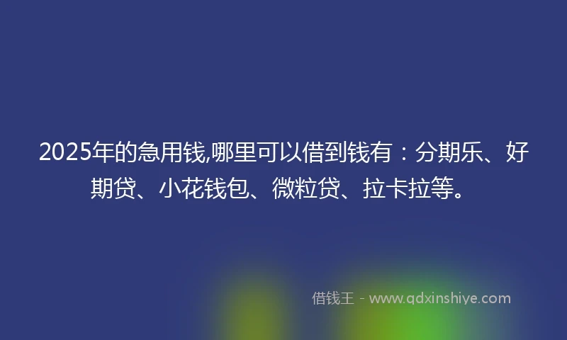 2025年的急用钱,哪里可以借到钱有：分期乐、好期贷、小花钱包、微粒贷、拉卡拉等。