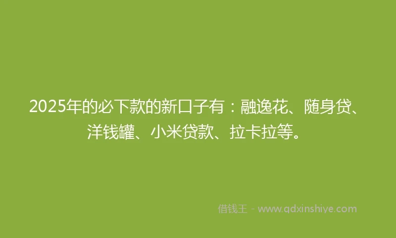2025年的必下款的新口子有：融逸花、随身贷、洋钱罐、小米贷款、拉卡拉等。