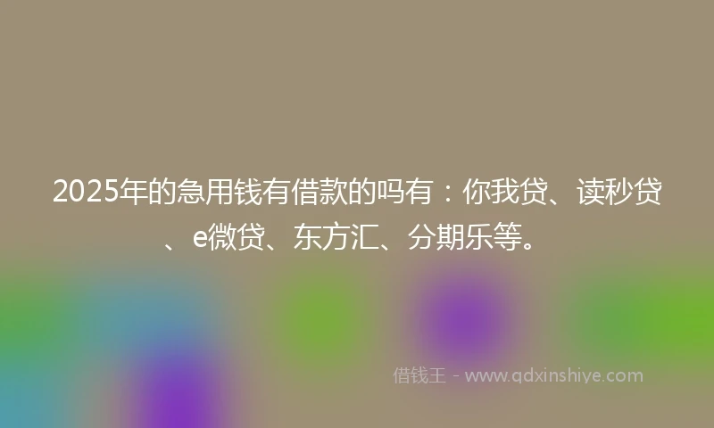 2025年的急用钱有借款的吗有：你我贷、读秒贷、e微贷、东方汇、分期乐等。