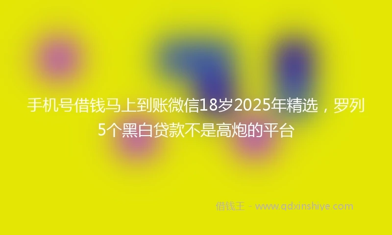 手机号借钱马上到账微信18岁2025年精选，罗列5个黑白贷款不是高炮的平台