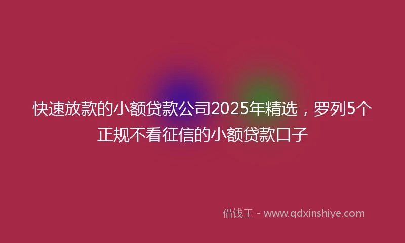 快速放款的小额贷款公司2025年精选，罗列5个正规不看征信的小额贷款口子