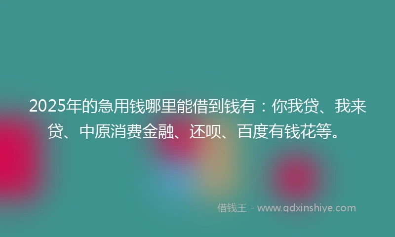 2025年的急用钱哪里能借到钱有：你我贷、我来贷、中原消费金融、还呗、百度有钱花等。