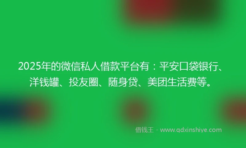 2025年的微信私人借款平台有:平安口袋银行、洋钱罐、投友圈、随身贷、美团生活费等。