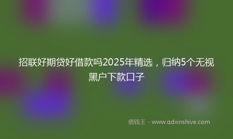 招联好期贷好借款吗2025年精选，归纳5个无视黑户下款口子