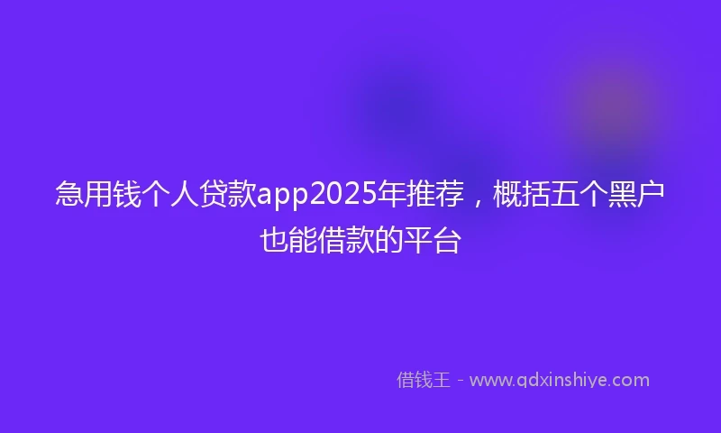 急用钱个人贷款app2025年推荐，概括五个黑户也能借款的平台