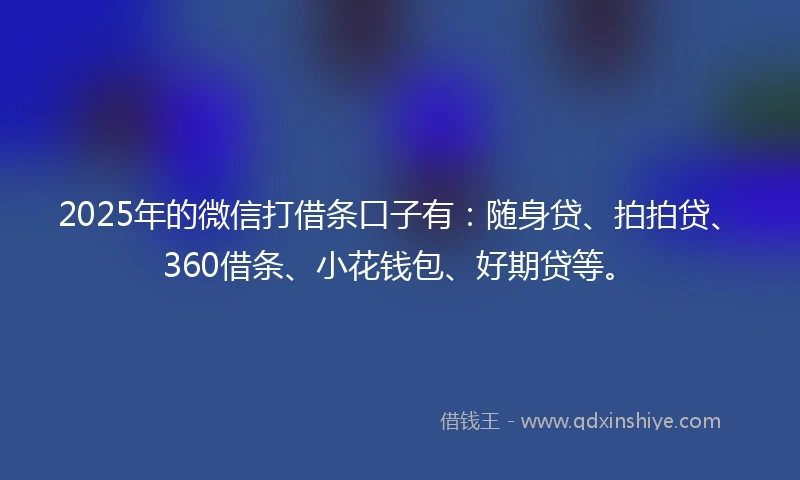 2025年的微信打借条口子有：随身贷、拍拍贷、360借条、小花钱包、好期贷等。
