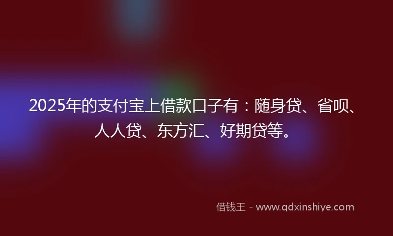 2025年的支付宝上借款口子有：随身贷、省呗、人人贷、东方汇、好期贷等。
