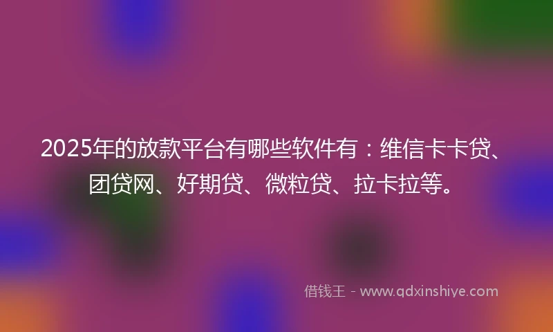 2025年的放款平台有哪些软件有：维信卡卡贷、团贷网、好期贷、微粒贷、拉卡拉等。