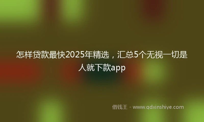怎样贷款最快2025年精选，汇总5个无视一切是人就下款app