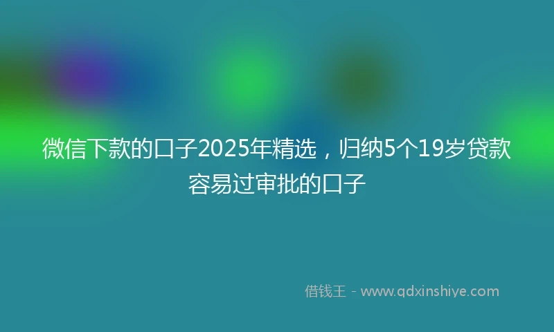 微信下款的口子2025年精选,归纳5个19岁贷款容易过审批的口子
