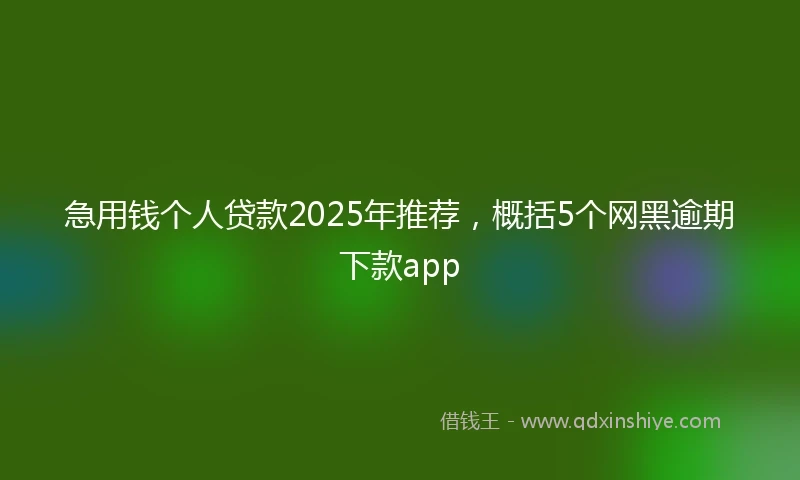 急用钱个人贷款2025年推荐，概括5个网黑逾期下款app