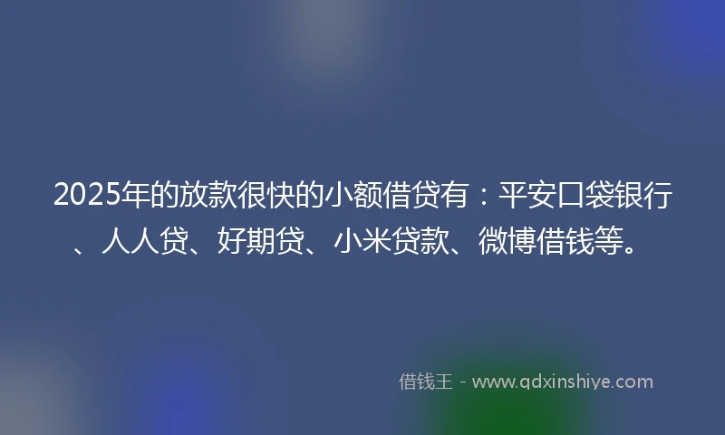 2025年的放款很快的小额借贷有：平安口袋银行、人人贷、好期贷、小米贷款、微博借钱等。