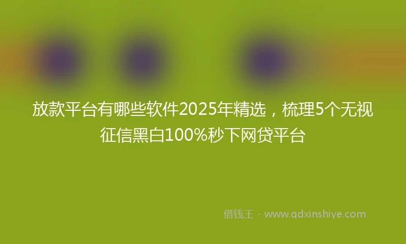 放款平台有哪些软件2025年精选，梳理5个无视征信黑白100%秒下网贷平台