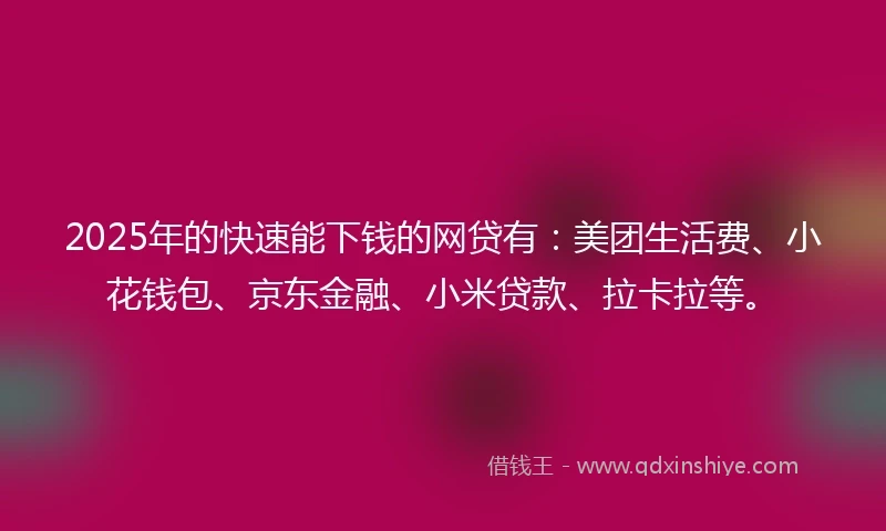 2025年的快速能下钱的网贷有：美团生活费、小花钱包、京东金融、小米贷款、拉卡拉等。