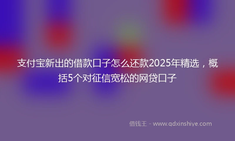 支付宝新出的借款口子怎么还款2025年精选，概括5个对征信宽松的网贷口子