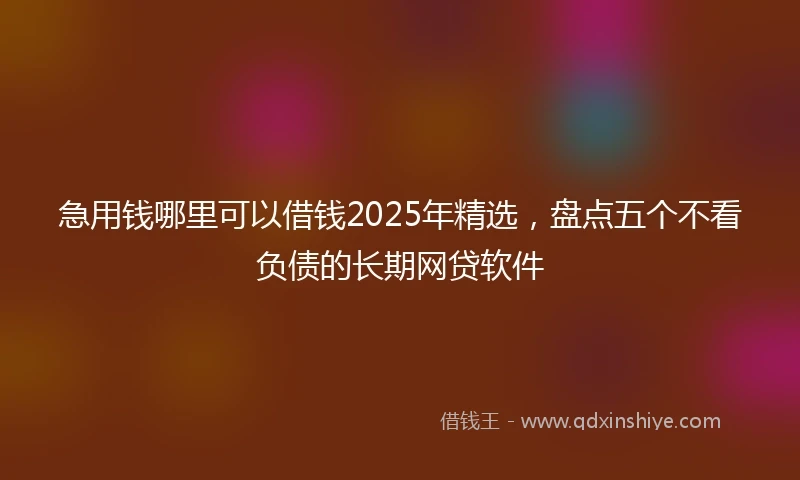 急用钱哪里可以借钱2025年精选，盘点五个不看负债的长期网贷软件