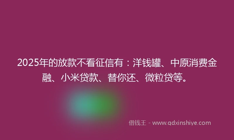 2025年的放款不看征信有：洋钱罐、中原消费金融、小米贷款、替你还、微粒贷等。