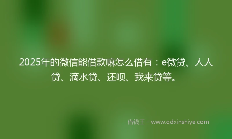 2025年的微信能借款嘛怎么借有：e微贷、人人贷、滴水贷、还呗、我来贷等。