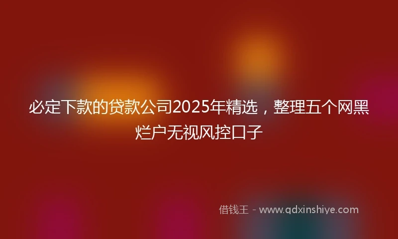 必定下款的贷款公司2025年精选，整理五个网黑烂户无视风控口子