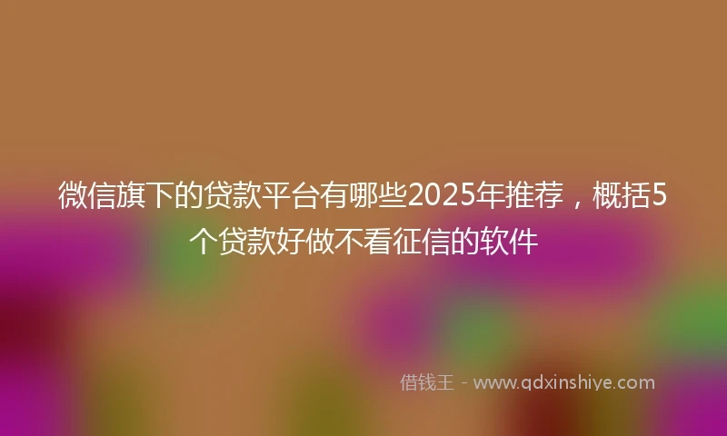 微信旗下的贷款平台有哪些2025年推荐，概括5个贷款好做不看征信的软件