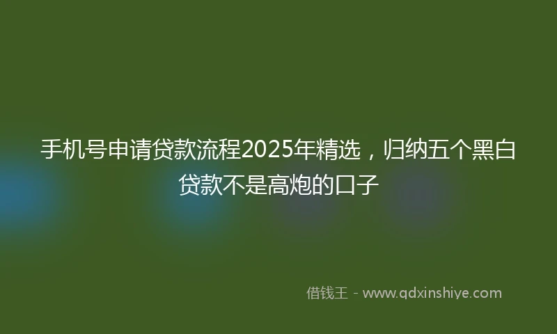 手机号申请贷款流程2025年精选，归纳五个黑白贷款不是高炮的口子
