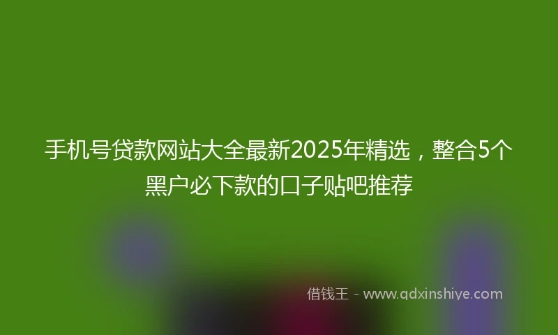手机号贷款网站大全最新2025年精选，整合5个黑户必下款的口子贴吧推荐