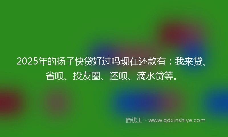 2025年的扬子快贷好过吗现在还款有：我来贷、省呗、投友圈、还呗、滴水贷等。
