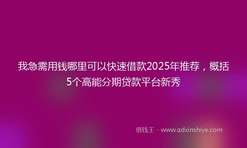 我急需用钱哪里可以快速借款2025年推荐，概括5个高能分期贷款平台新秀