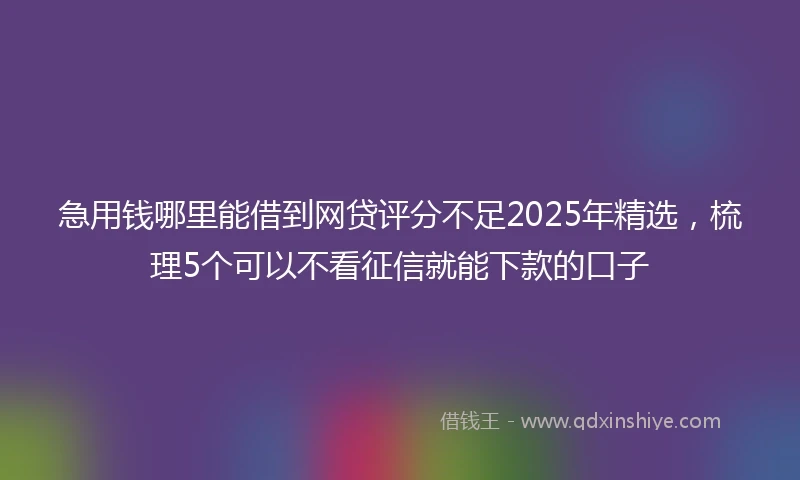 急用钱哪里能借到网贷评分不足2025年精选，梳理5个可以不看征信就能下款的口子