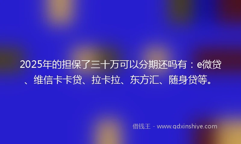 2025年的担保了三十万可以分期还吗有：e微贷、维信卡卡贷、拉卡拉、东方汇、随身贷等。